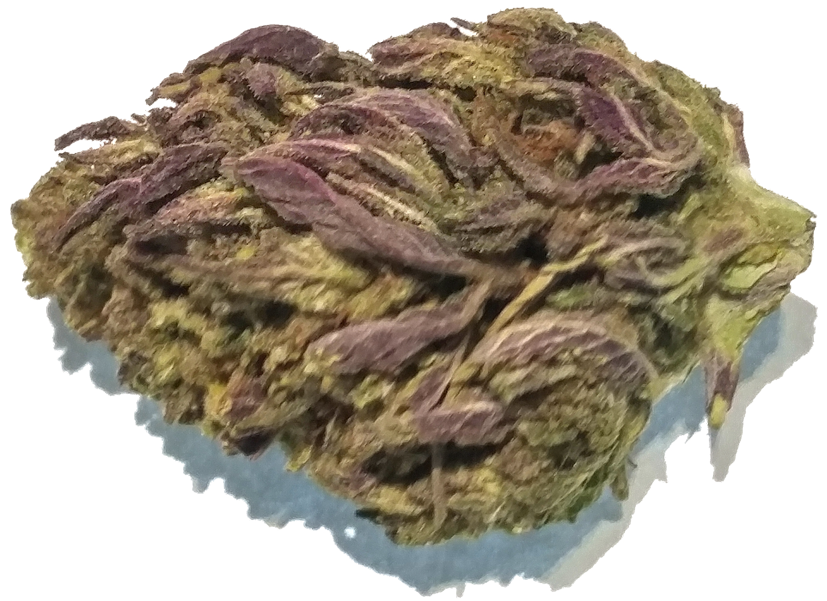Sour Space Candy Industrial Hemp Flower Buds